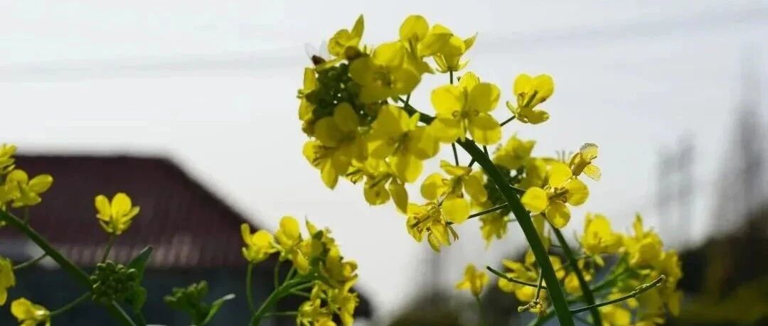 回顾 | “春种” 春意盎然，播撒希望