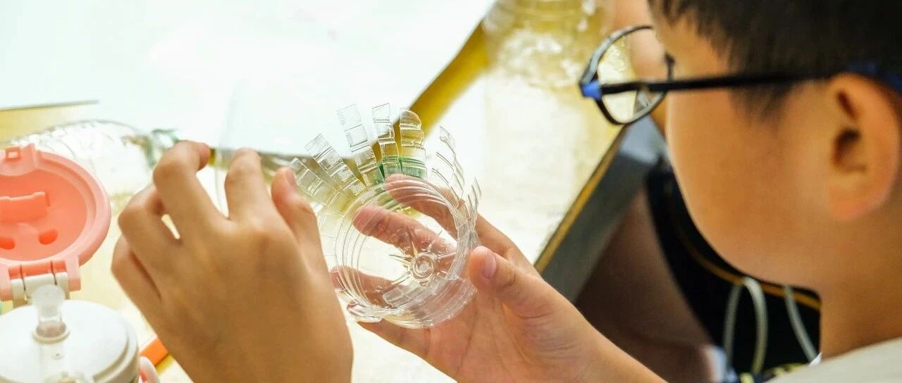 觅 · 颍炎｜爱绿环保特色课程