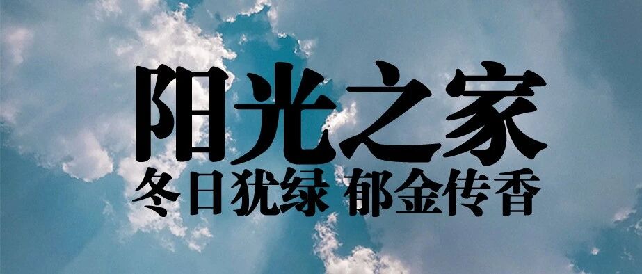 招募｜觅·暖阳 冬日犹绿 郁金传香