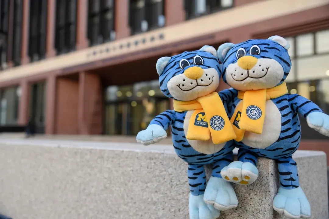 回顾| “小班”一年 我的“关键词”